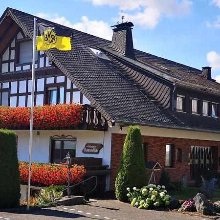 Pension Sonnenblick Winterberg Extérieur photo
