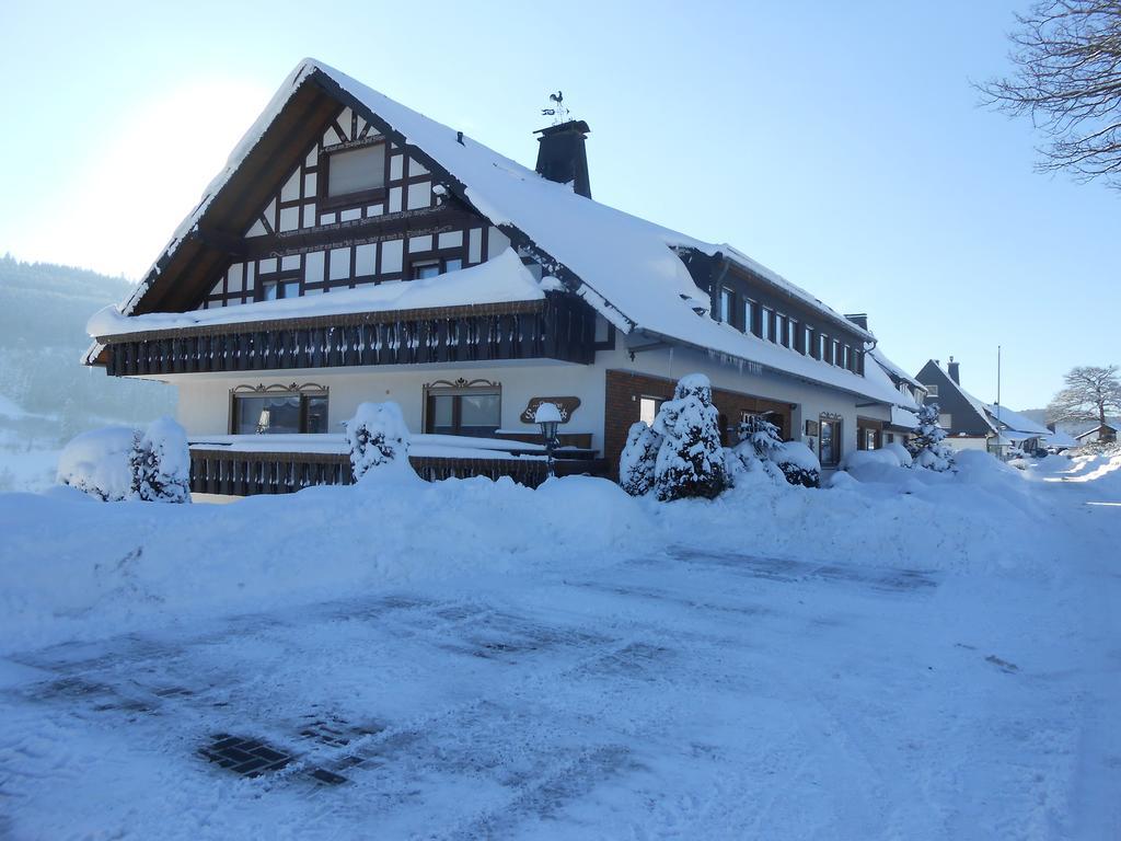 Pension Sonnenblick Winterberg Extérieur photo