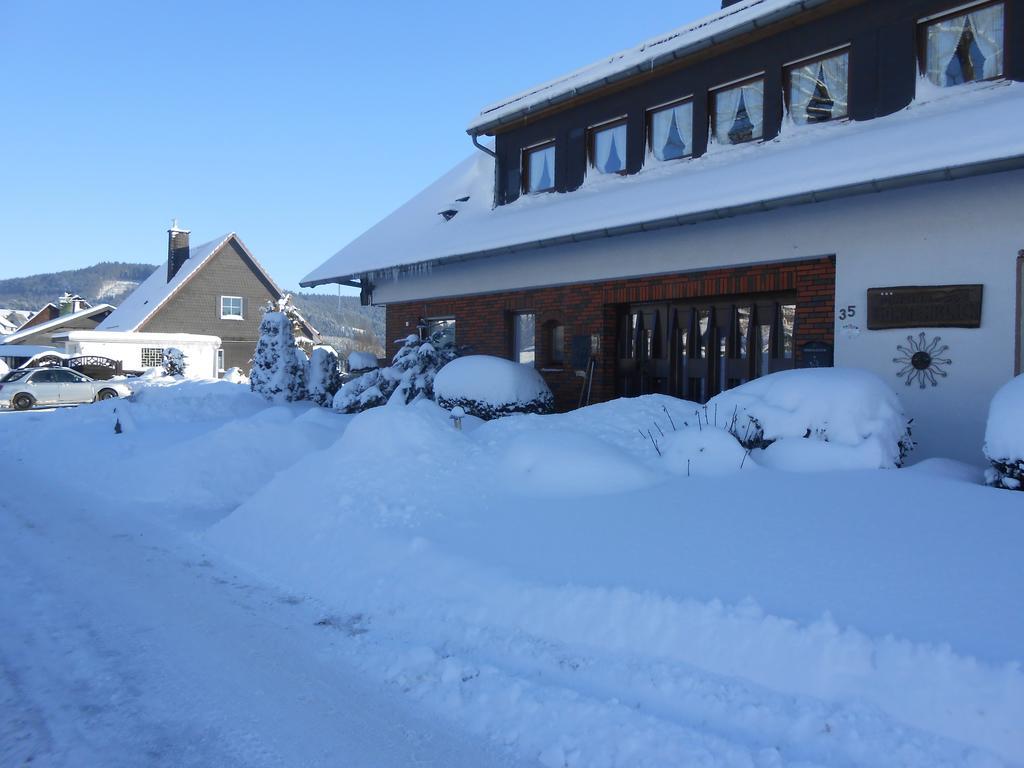 Pension Sonnenblick Winterberg Extérieur photo